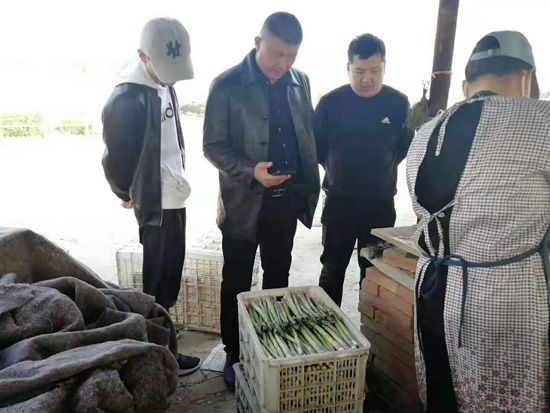 來自河南、山東、新疆的客人在種植園考察