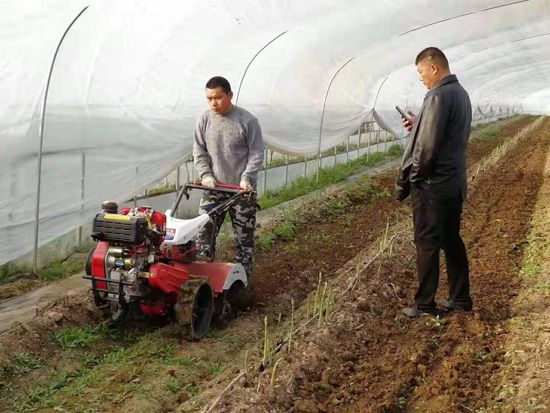 來自河南、山東、新疆的客人在種植園考察
