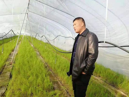 來自河南、山東、新疆的客人在種植園考察